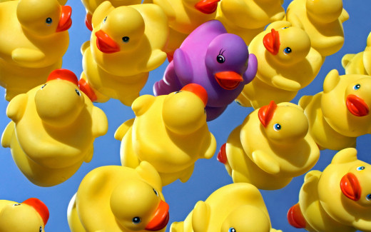 636836 (a): :2560x1600